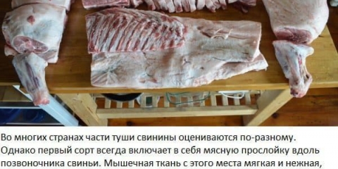 Svinjski lungić - to je koji dio, rezanje svinjskog trupa, dijelovi svinjskog imena